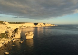 Bonifacio